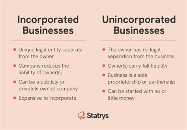Is unincorporated business owned by two or more persons?