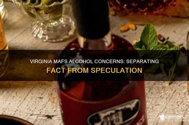 Is Virginia on MAFS an alcoholic?