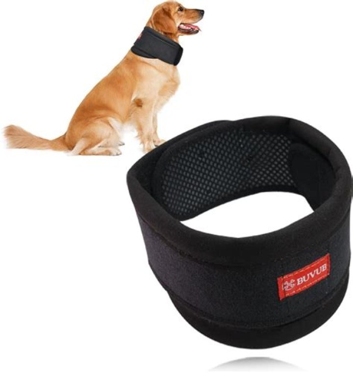Should dogs wear collars 24 7?