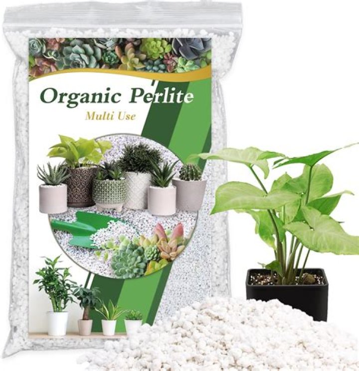 Should I add perlite to cactus soil?