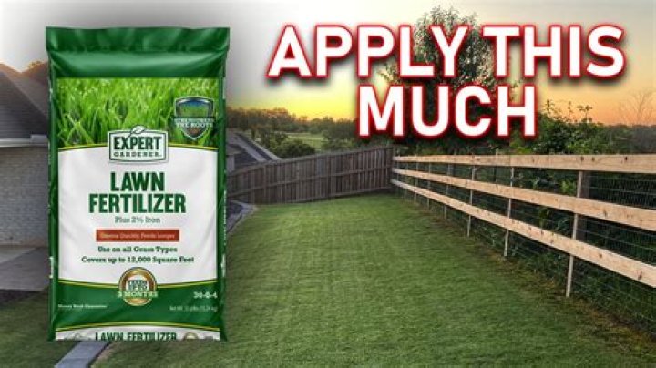 Should I fertilize my lawn in February?