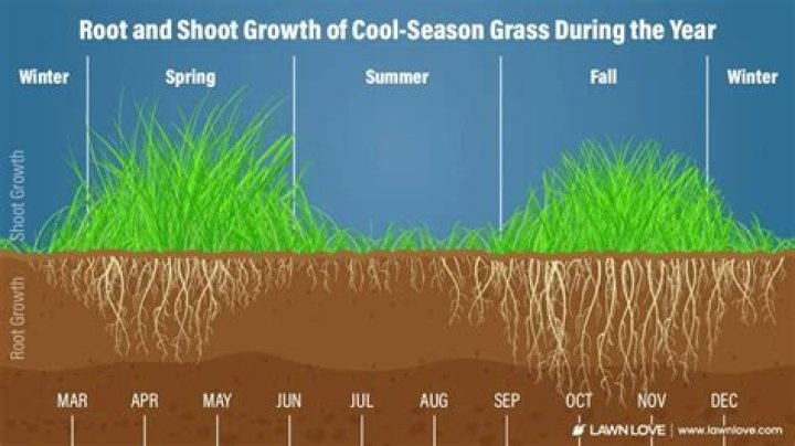 Should I mow my pasture before winter?