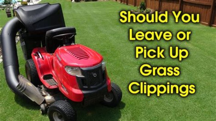 Should I pick up grass clippings?