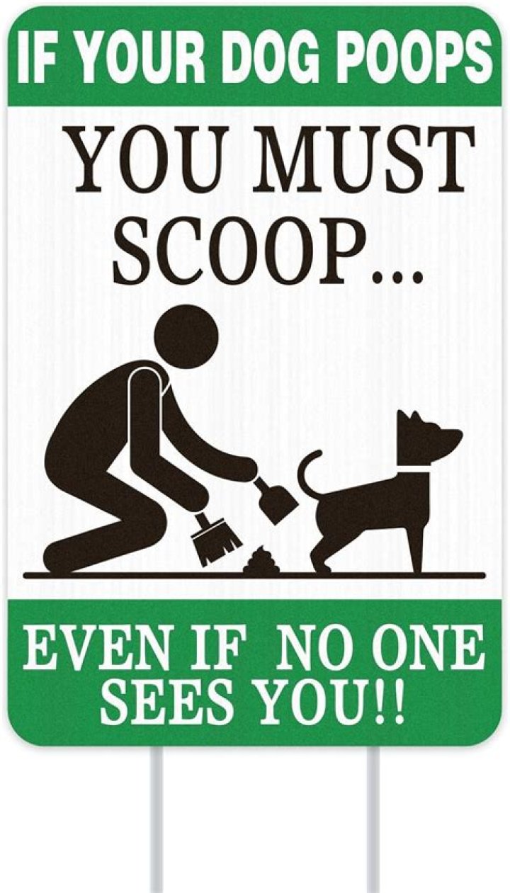 Should I pick up my dog's poop in my yard?
