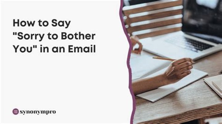 Should you say sorry to bother you in email?