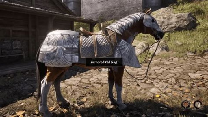 Was horse armor real?