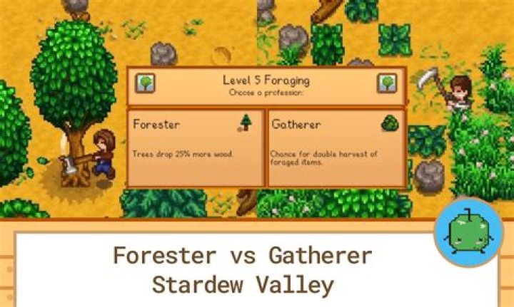 What's better forester or gatherer Stardew Valley?