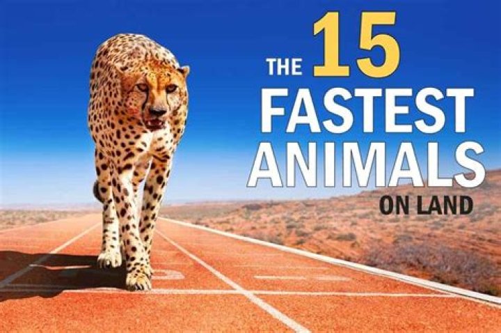 What's the fastest animal in Ark?
