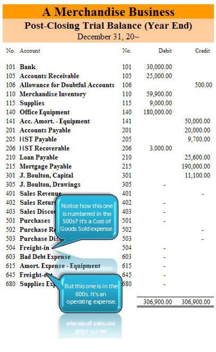 What accounts does a merchandising business use?
