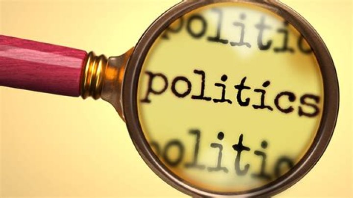 What are contributions in politics?