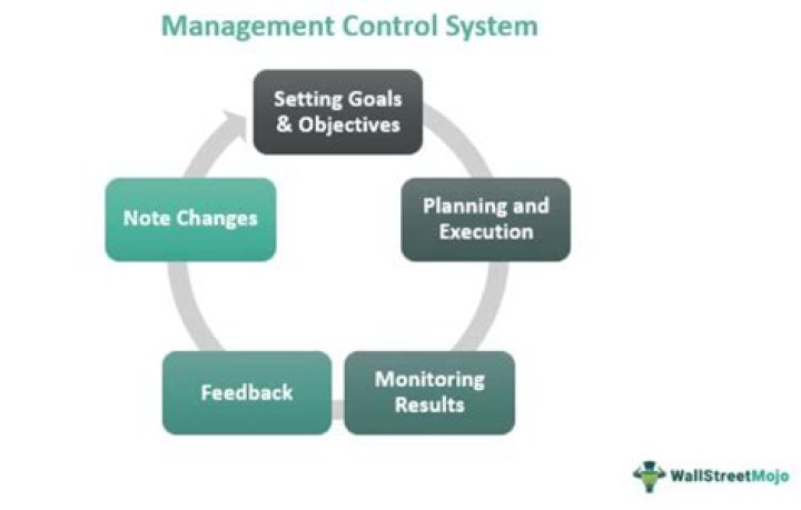 What are examples of management control systems?