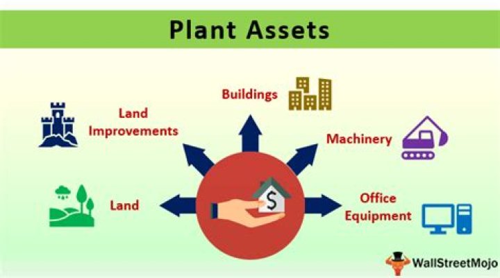 What are examples of plant assets?