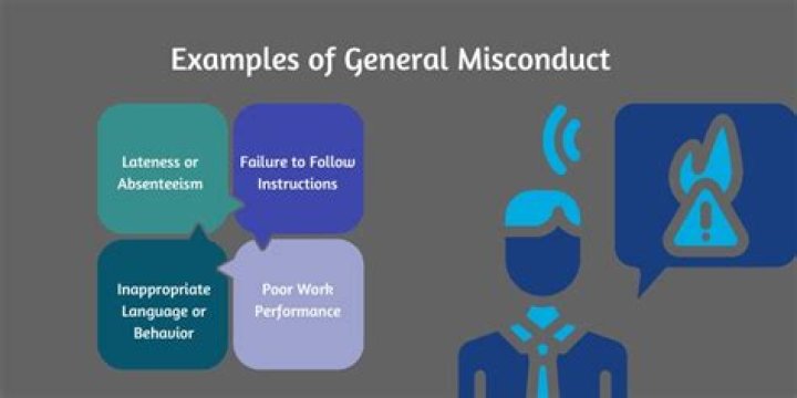 What are examples of professional misconduct?