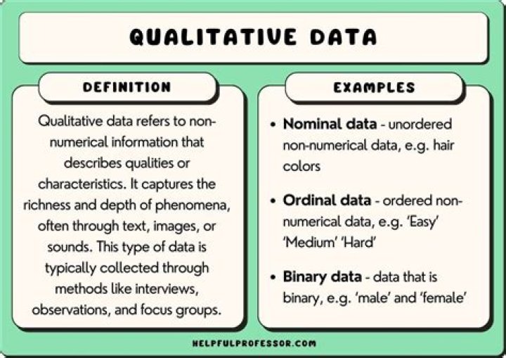 What are examples of qualitative?