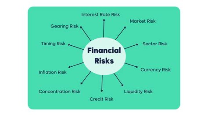What are financial statement level risks?