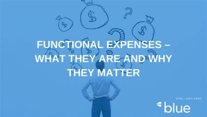 What are functional expenses?