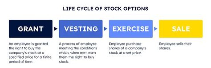 What are granted stock options?