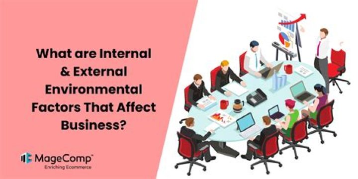 What are internal factors of influence?