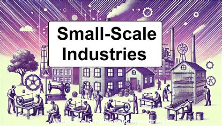 What are large scale and small scale industries?