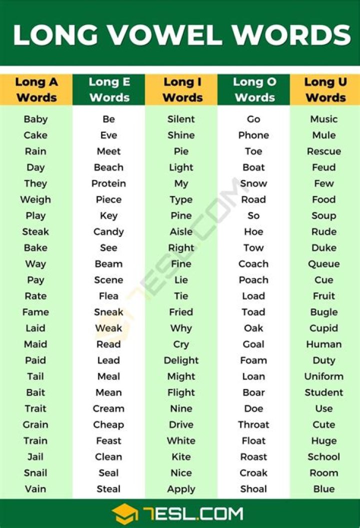 What are long vowels words?