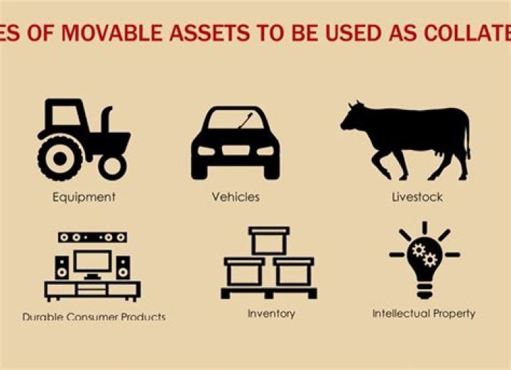 What are movable assets?