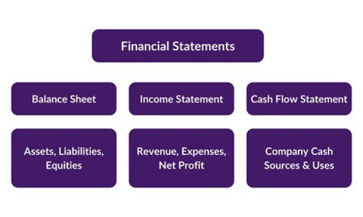 What are nature of financial statement?