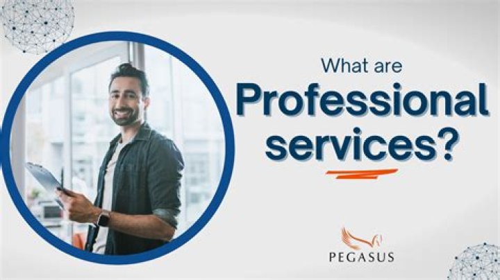 What are professional services in business?