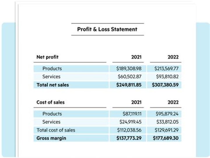 What are profit and loss statements?