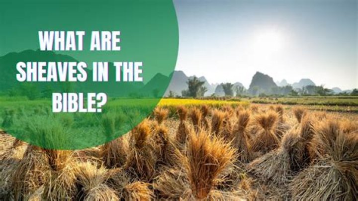 What are sheaves in the Bible?