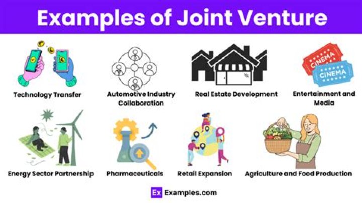 What are some examples of joint ventures in India?