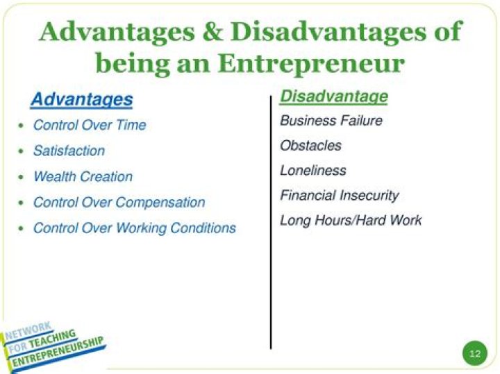 What are some of the advantages and disadvantages of entrepreneurship?