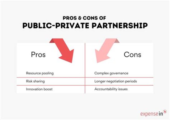What are some pros cons of a private company going public?