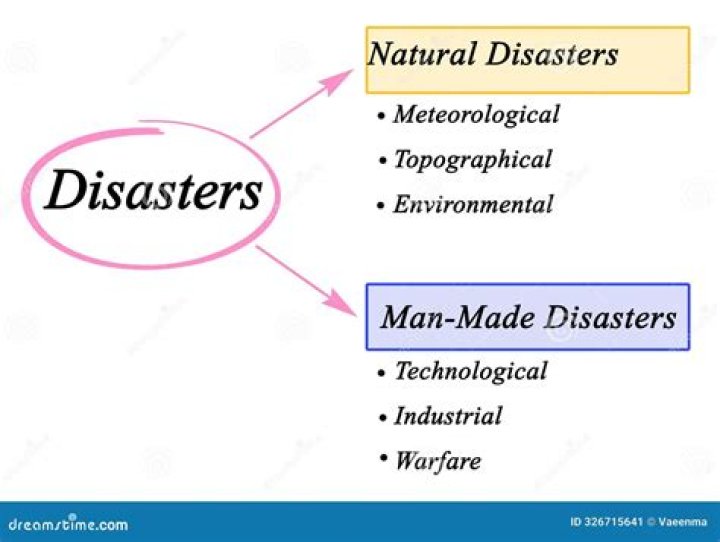 What are the 2 main types of disasters?