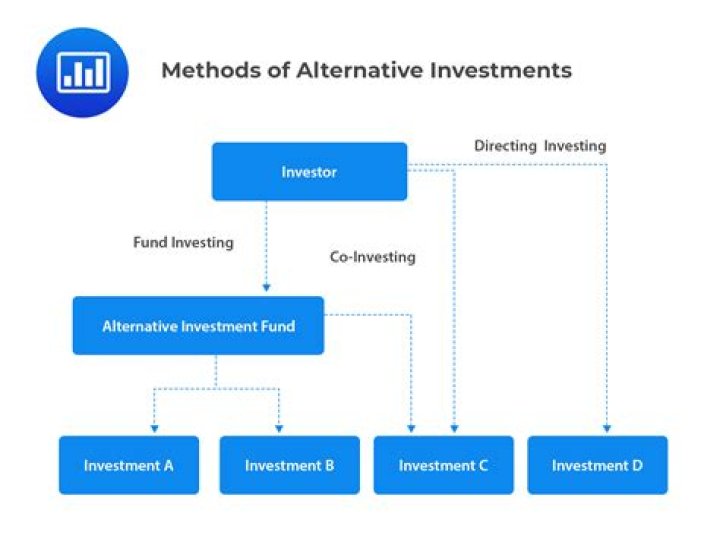What are the 4 investment alternatives?
