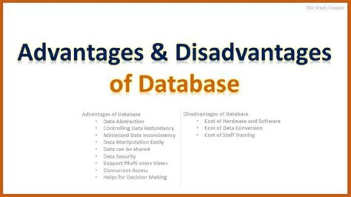 What are the advantages of using paper databases?