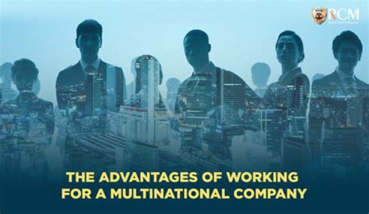 What are the advantages of working for a multinational company?