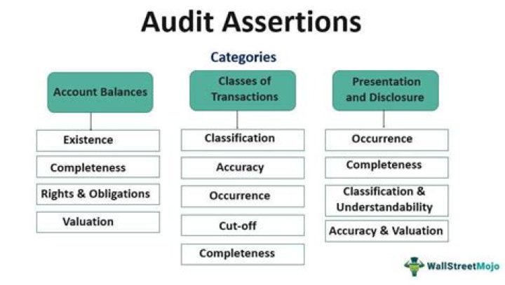 What are the assertions in audit?