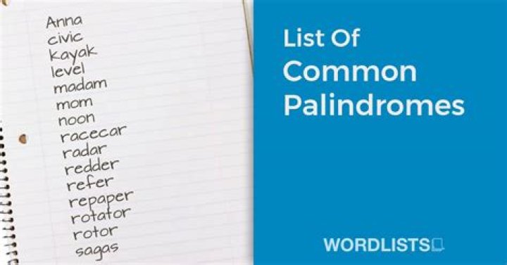 What are the best palindromes?