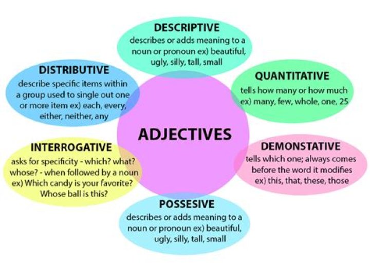 What are the categories of teacher?