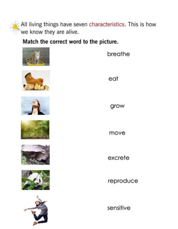 What are the characteristic of ABC?