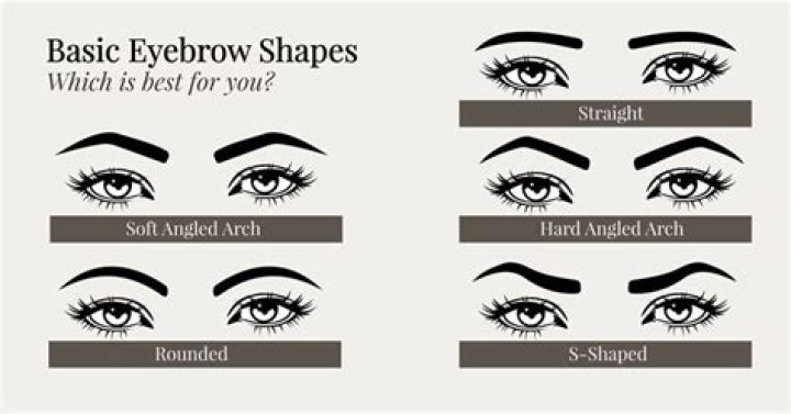 What are the different eyebrow shapes?
