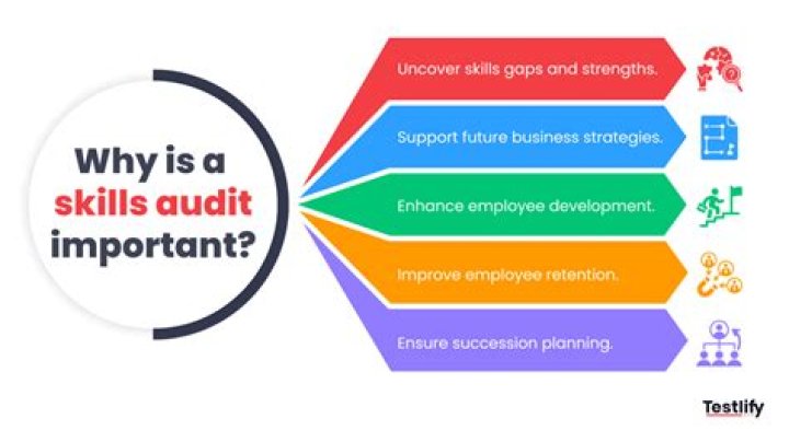 What are the disadvantages of a skills audit?