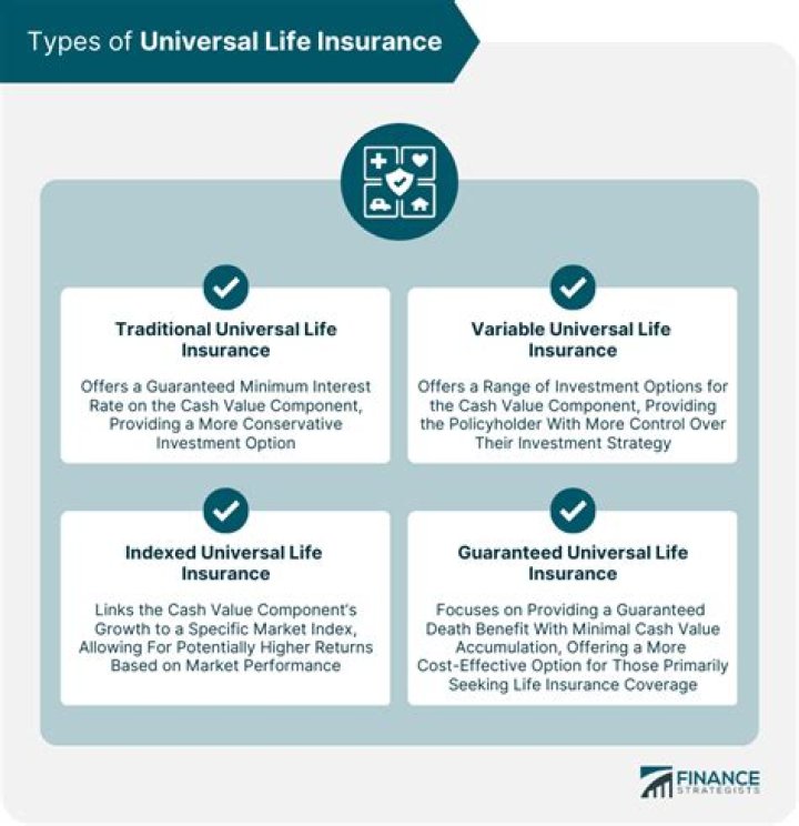 What are the disadvantages when consider in purchasing universal life insurance?