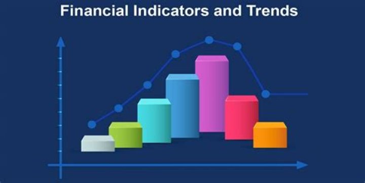 What are the financial indicators?