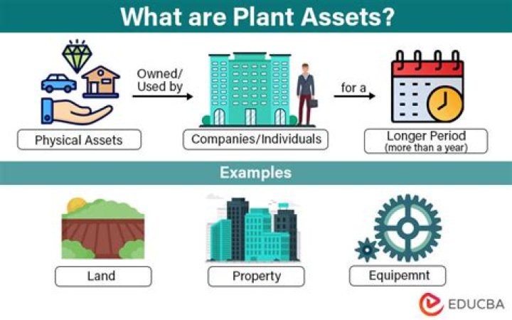 What are the four characteristics of plant assets?