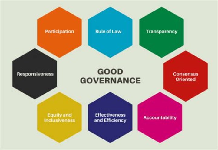 What are the governance principles?