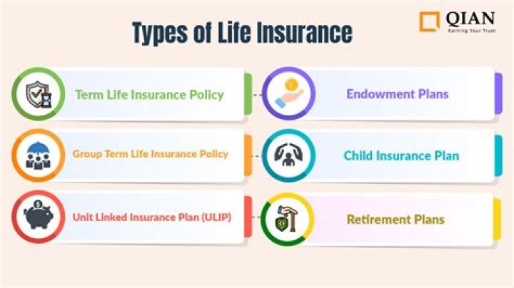 What are the main policies of life insurance?