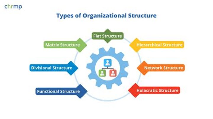 What are the models of organizational structure?