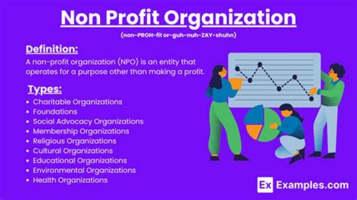 What are the objectives of a non-profit organization?