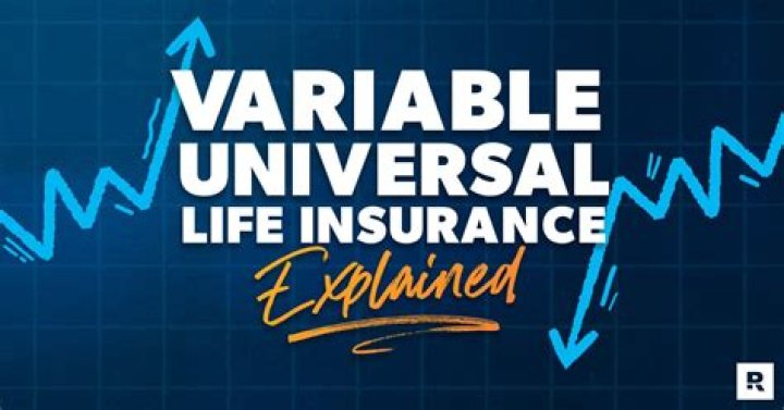 What are the risks of variable life insurance?